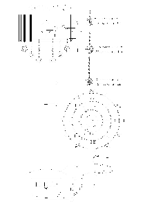 Потолочный светильник MW-Light Каролина 367011808