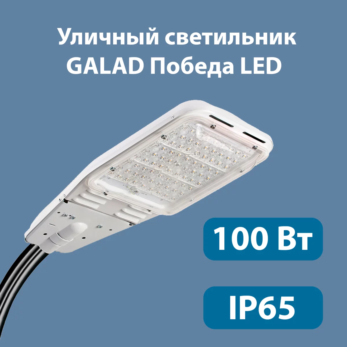 Уличный светодиодный светильник GALAD Победа LED-100-К/К50 купить в Уфе –  «Описвет»