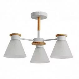 Потолочная люстра Arte Lamp TYLER Белый A1031PL-3WH