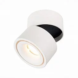 Светильник потолочный Белый LED 1*12W 4000K 1 000Lm Ra>90 36° IP20 D100xH105 170-240VV Накладные светильники ST652.542.12