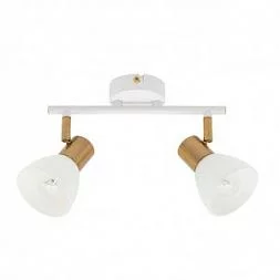 Светильник спот Arte Lamp FALENA Белый A3117PL-2WH