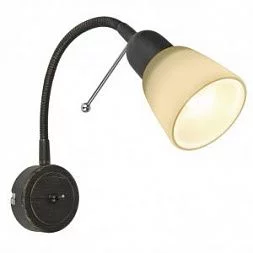 Светильник спот Arte Lamp LETTURA Коричневый A7009AP-1BR