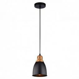  Arte Lamp EURICA Черный A4248SP-1BK