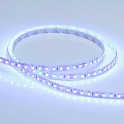 Лента RT 2-5000 12V Blue 2x (3528, 600 LED, LUX) (Arlight, 9.6 Вт/м, IP20)