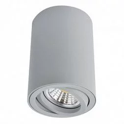  Arte Lamp SENTRY Серый A1560PL-1GY